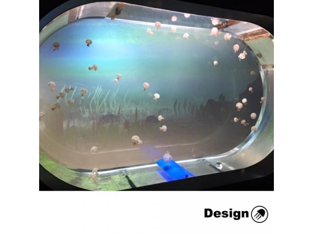 Aquarium kreisel ovale pour méduse 220 l (convient à l'installation) Aquariums pour des méduses 
