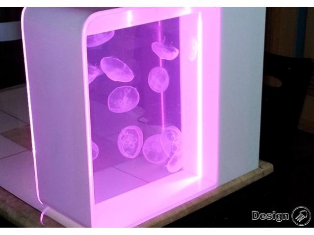 PULSE 80 - Aquarium pour les méduses, blanc (87L) Aquariums pour des méduses 