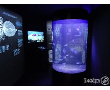 Aquarium tubulaire pour méduse 350 l Tube aquarium pour méduse