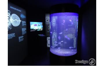 Aquarium tubulaire pour méduse 350 l Tube aquarium pour méduse