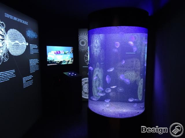 Aquarium tubulaire pour méduse 600 l Aquariums pour des méduses 