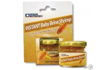 Baby Brine Shrimp (20 gram) Jellyfish Feeding Material Equipment